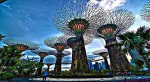 Siêu Cây Khổng lồ Singapore